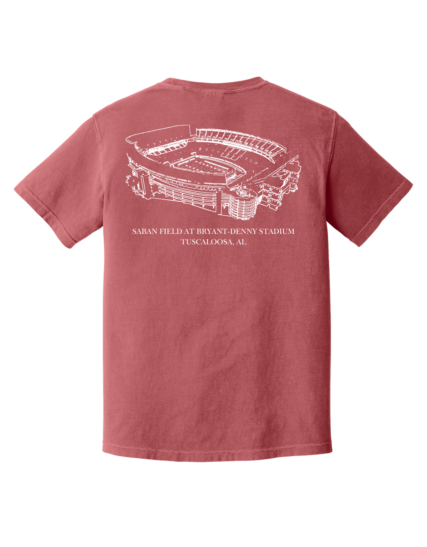 UA Stadium Graphic Tee