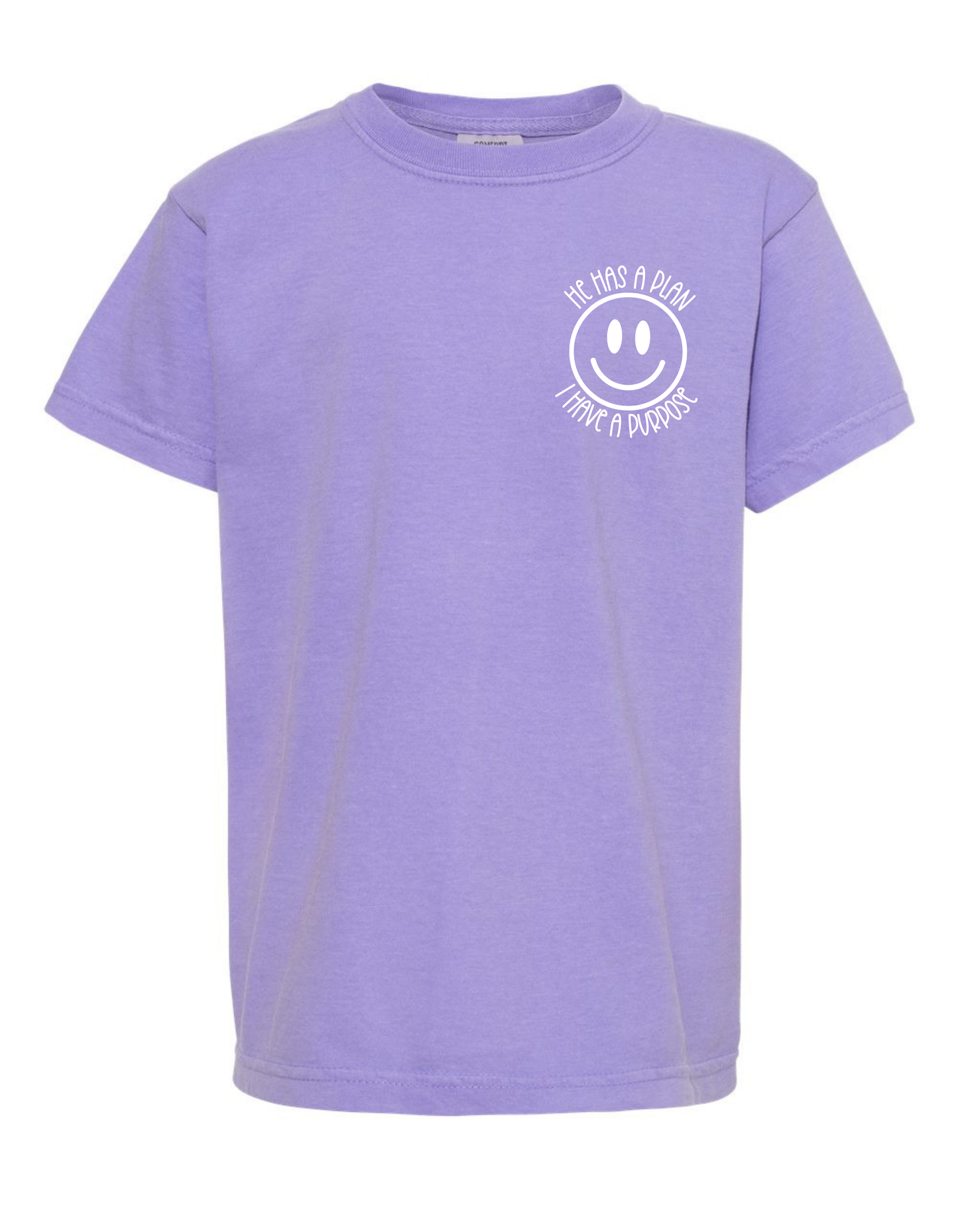 He has a Plan, I have a Purpose Comfort Color Tee